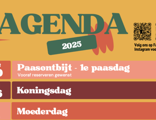 Zomer vol gezelligheid